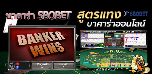 SBOBET บาคาร่า